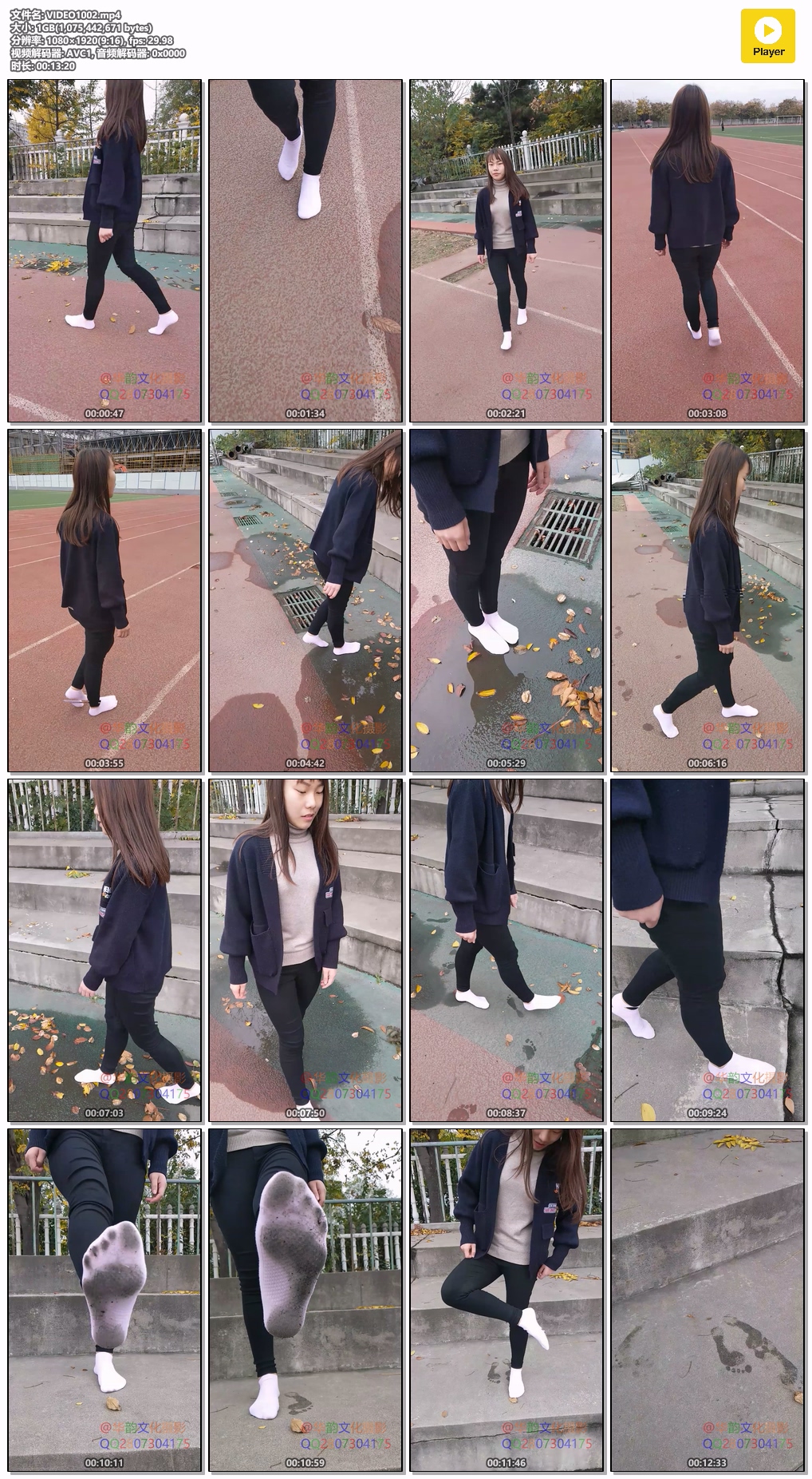 VIDEO1002