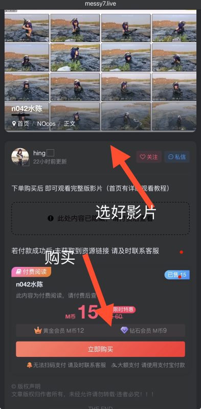 萌新观看充值教程-Messy艺术社