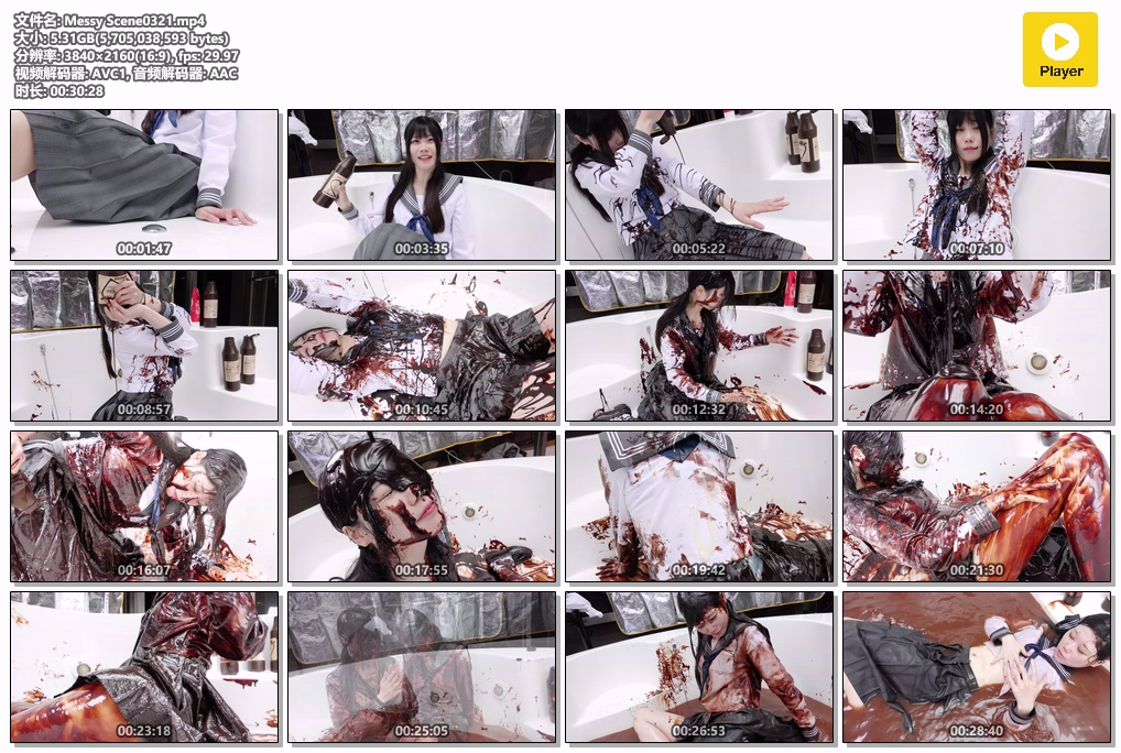Scene0321